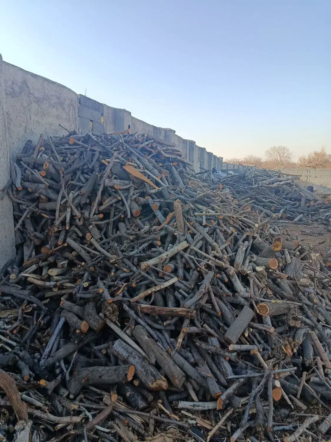 هیزم شومینه‌ای درجه یک خشک|عمده‌فروشی|شهریار, شهرک امیریه|دیوار