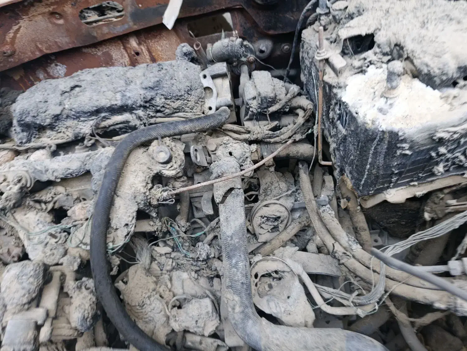 پژو|خودرو سواری و وانت|میناب, |دیوار