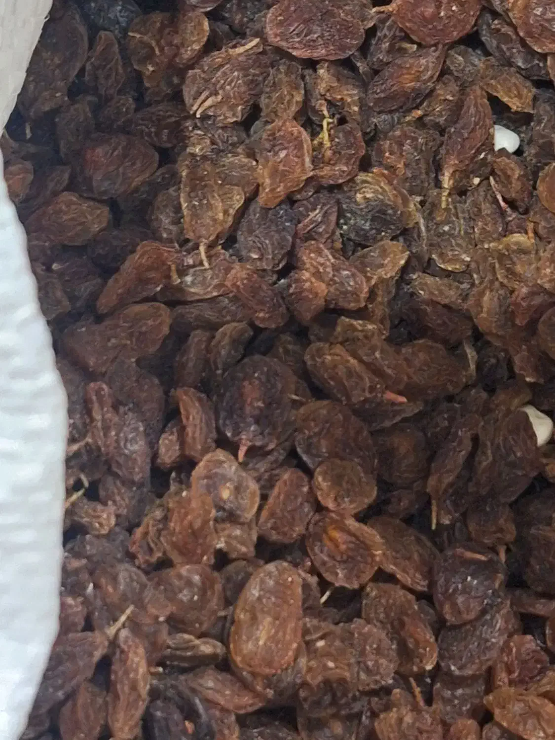 کشمش آفتابی|خوردنی و آشامیدنی|اصفهان, بابوکان|دیوار