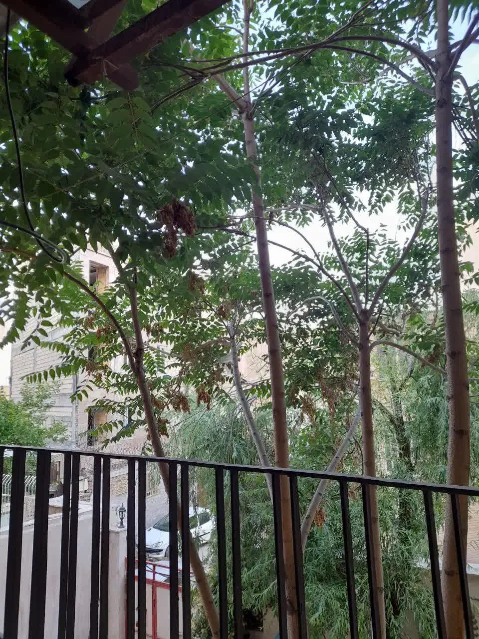 اجاره ۱۲۰ متری ابتدای طالقانی|اجارهٔ آپارتمان|اراک, |دیوار