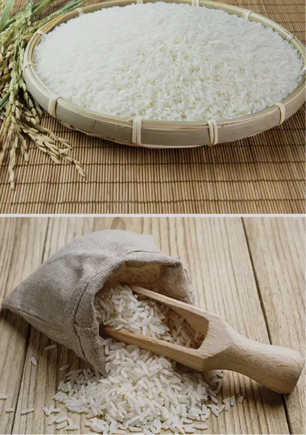 برنج هاشمی|خوردنی و آشامیدنی|لنگرود, |دیوار