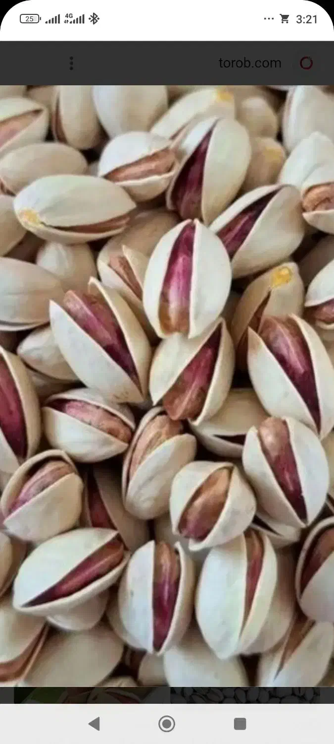 پسته تازه امسال|خوردنی و آشامیدنی|سروستان, |دیوار