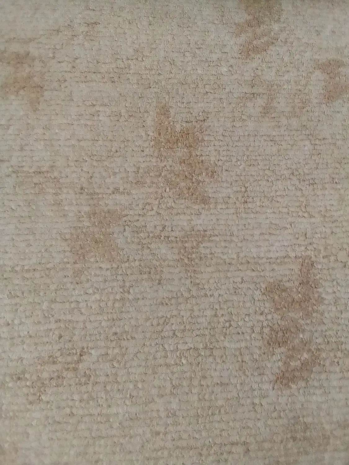 پالاز موکت|موکت|میاندوآب, |دیوار