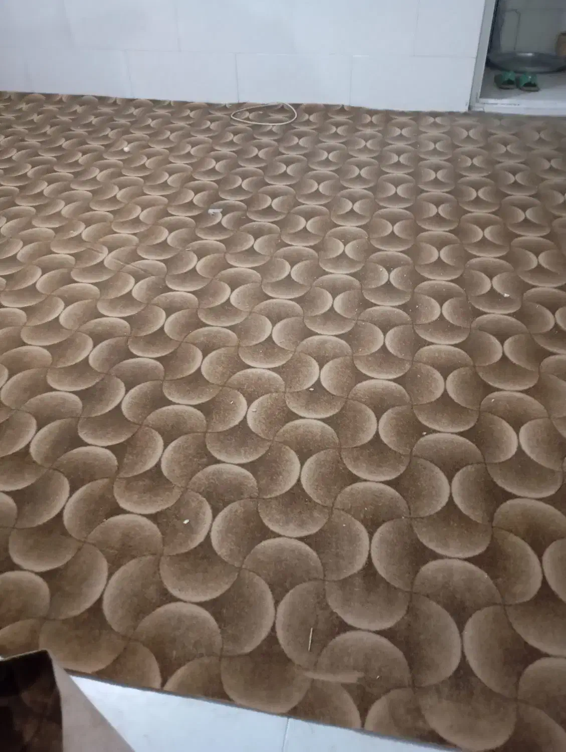 موکت 35 متری|موکت|شیراز, کوشک میدان|دیوار