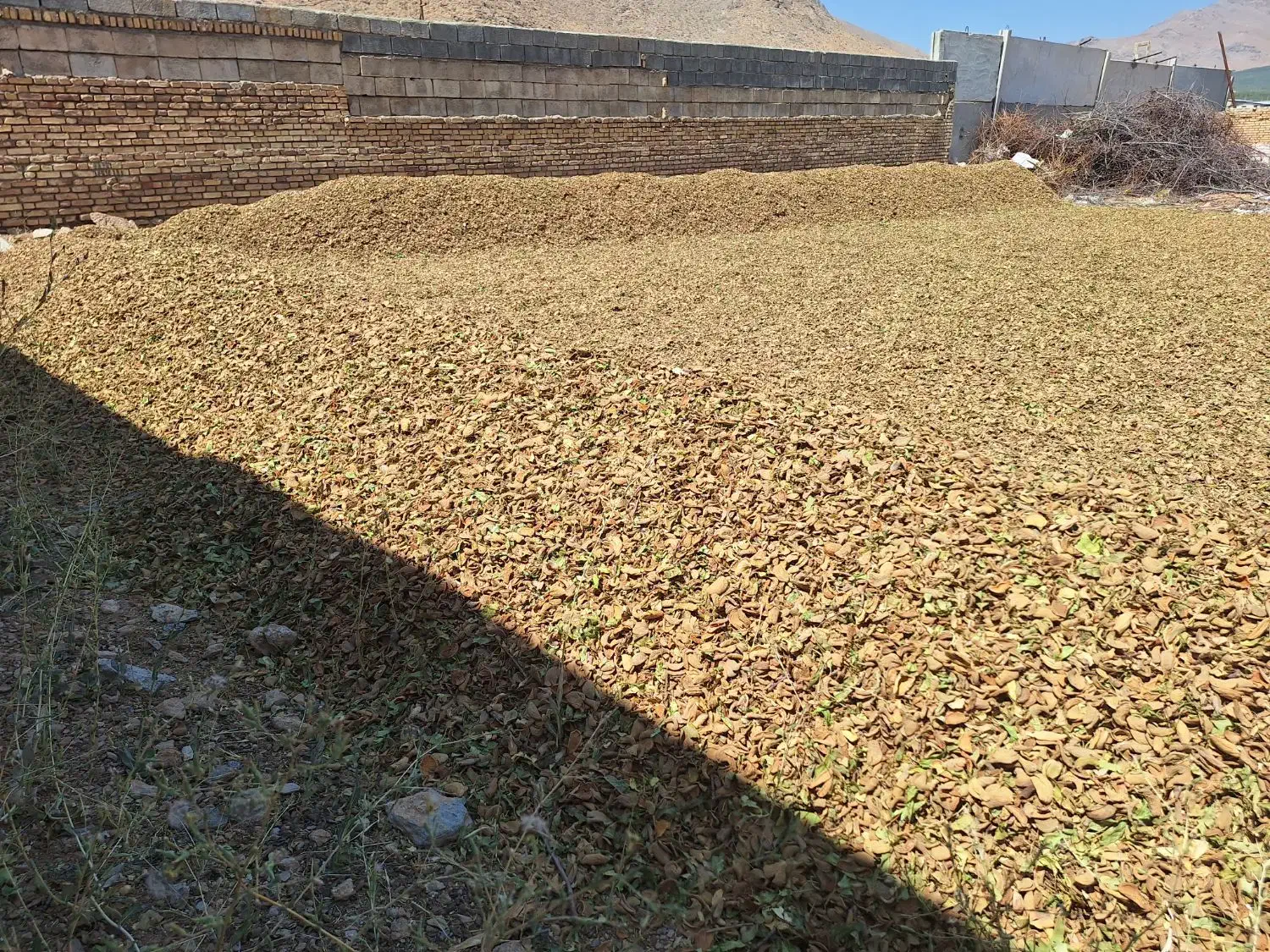 پوست بادام خشک|لوازم جانبی حیوانات|سامان, |دیوار