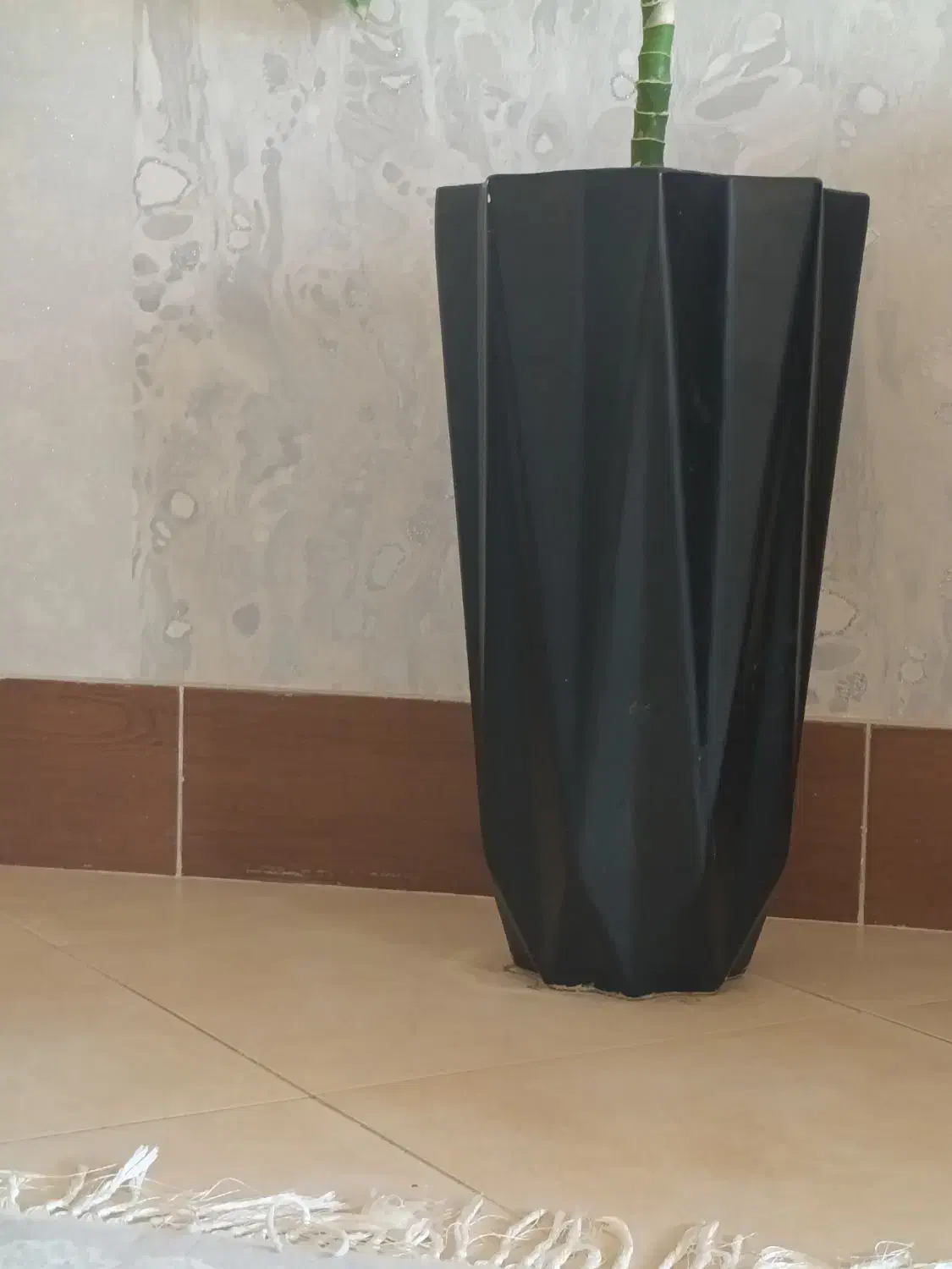 گل دیفن باخیا و گلدان نو ۱تومن|گل و گیاه طبیعی|گنبد کاووس, |دیوار