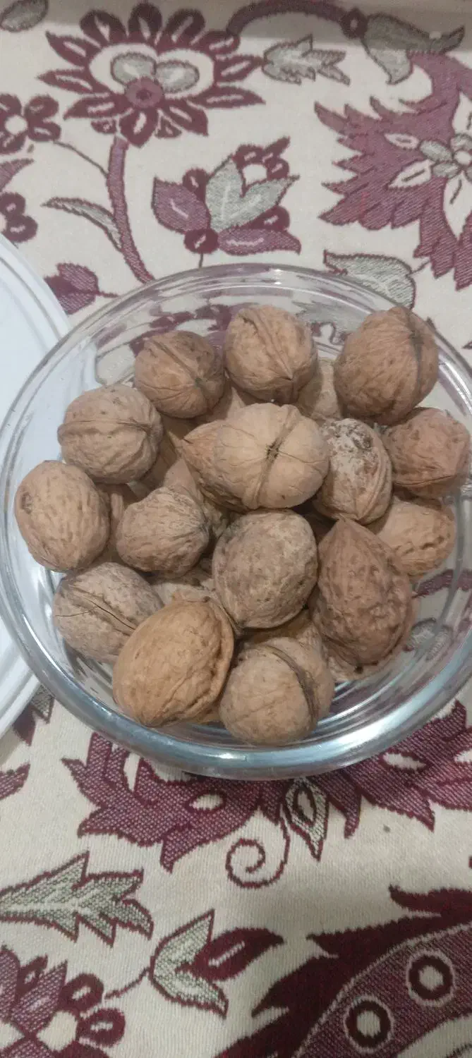 گردو و مغز گردو|حراج|کرج, حیدرآباد|دیوار