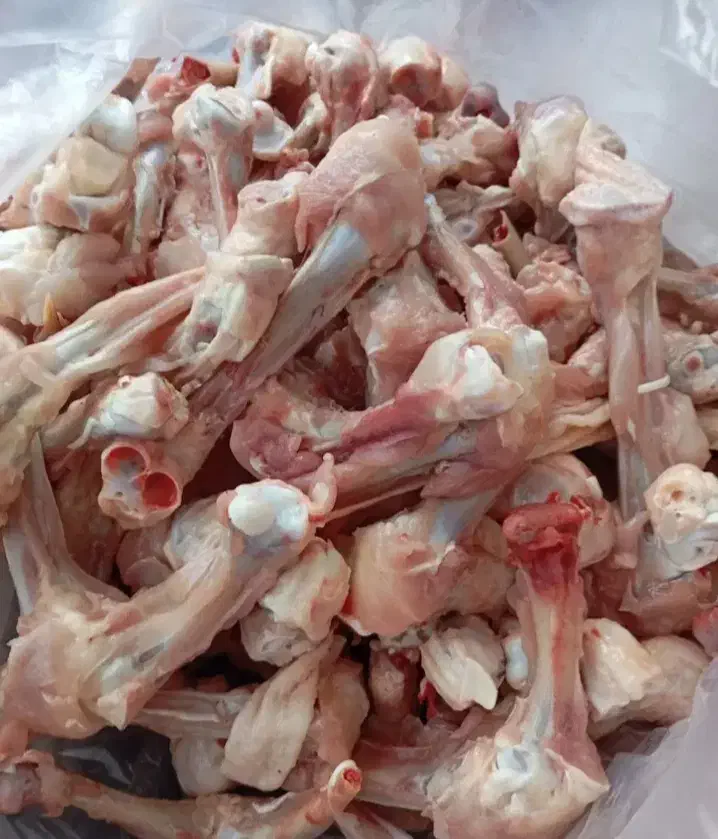 غذای سگ و گربه|لوازم جانبی حیوانات|رشت, بازار|دیوار