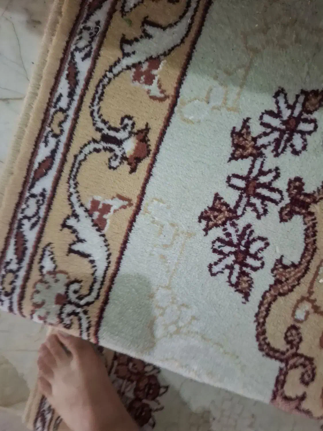 کناره قالی مشهد تمام نخ|گلیم، جاجیم، گبه|مشهد, موسوی قوچانی|دیوار