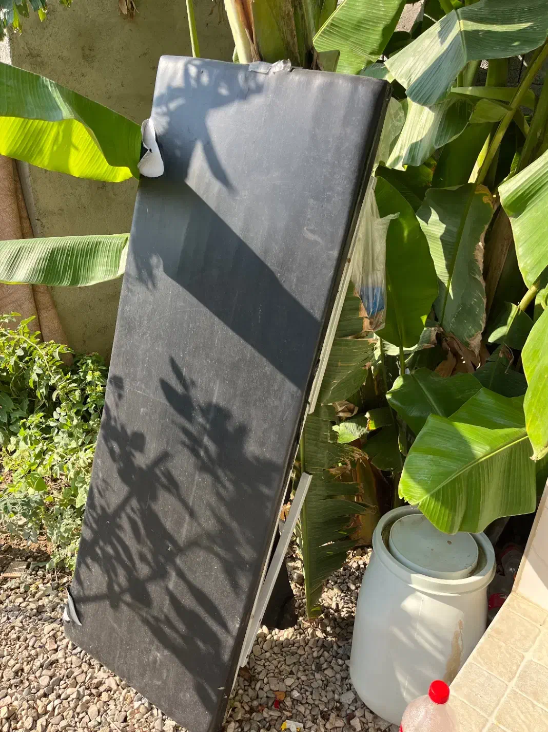 تخت اپلاسیون|آرایشگاه و سالنهای زیبایی|گنبد کاووس, |دیوار