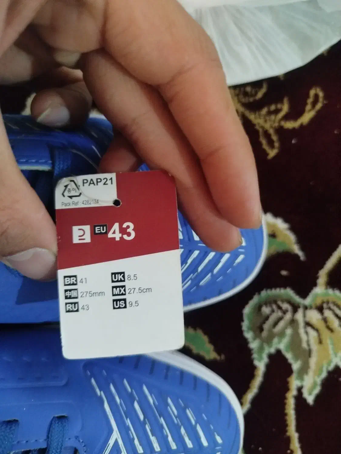 کتونی سالن|کیف، کفش، کمربند|قم, شهدا|دیوار