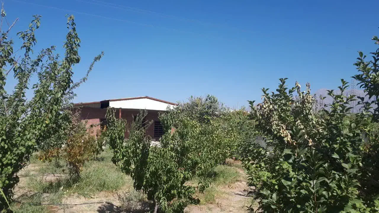 فروش باغ|فروش خانه و ویلا|ماهان, |دیوار