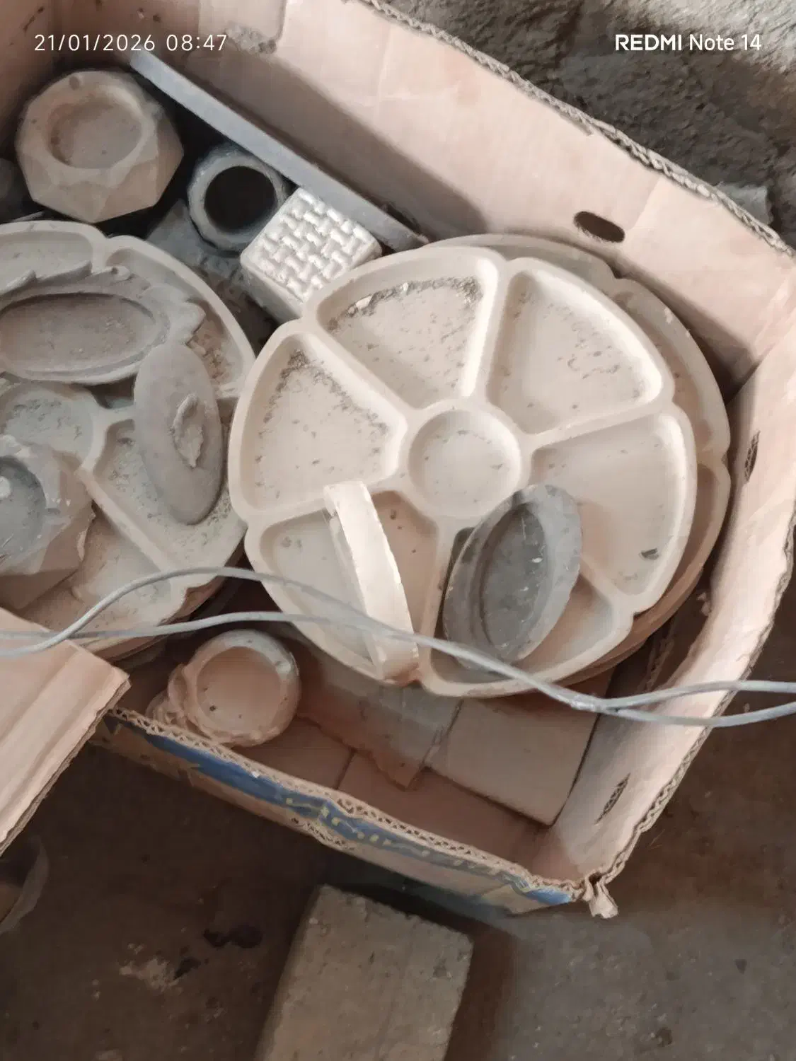 گلدان|گل و گیاه طبیعی|سامن, |دیوار