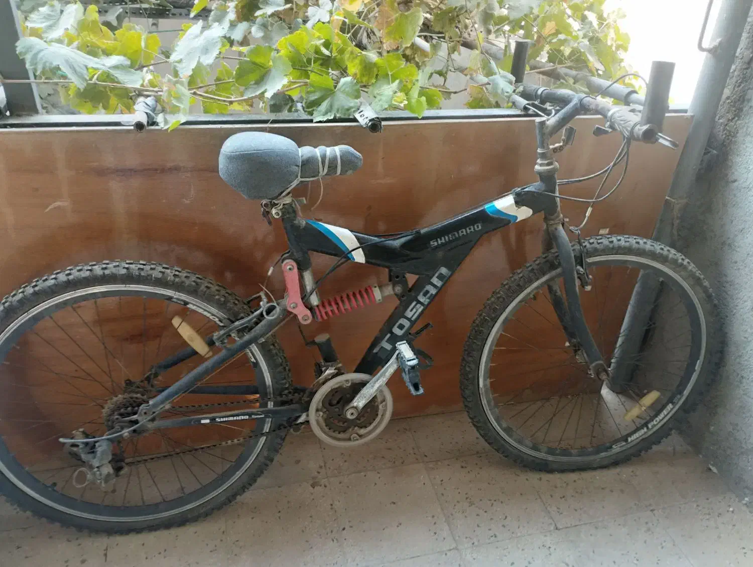 دوچرخه|دوچرخه، اسکیت، اسکوتر|بهار, |دیوار