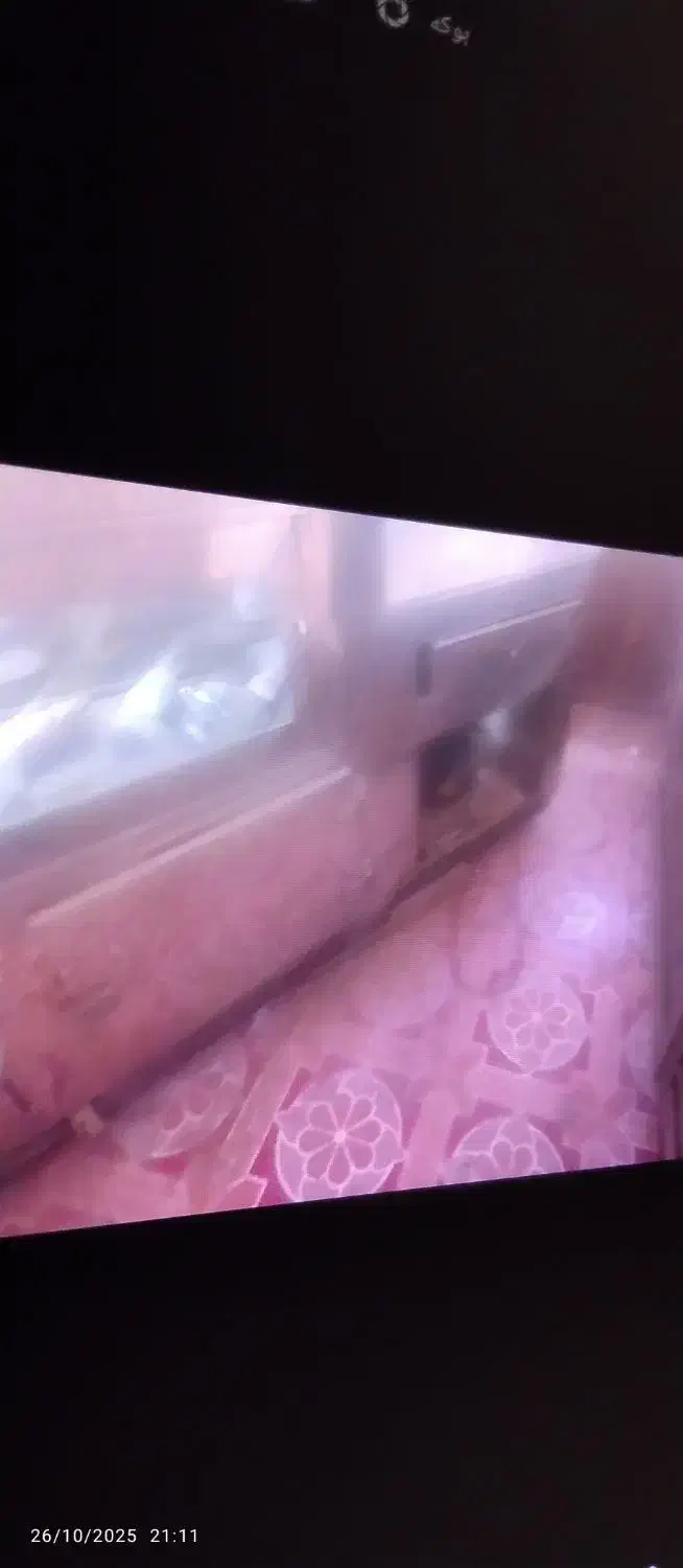 یخچال|یخچال و فریزر|زابل, |دیوار