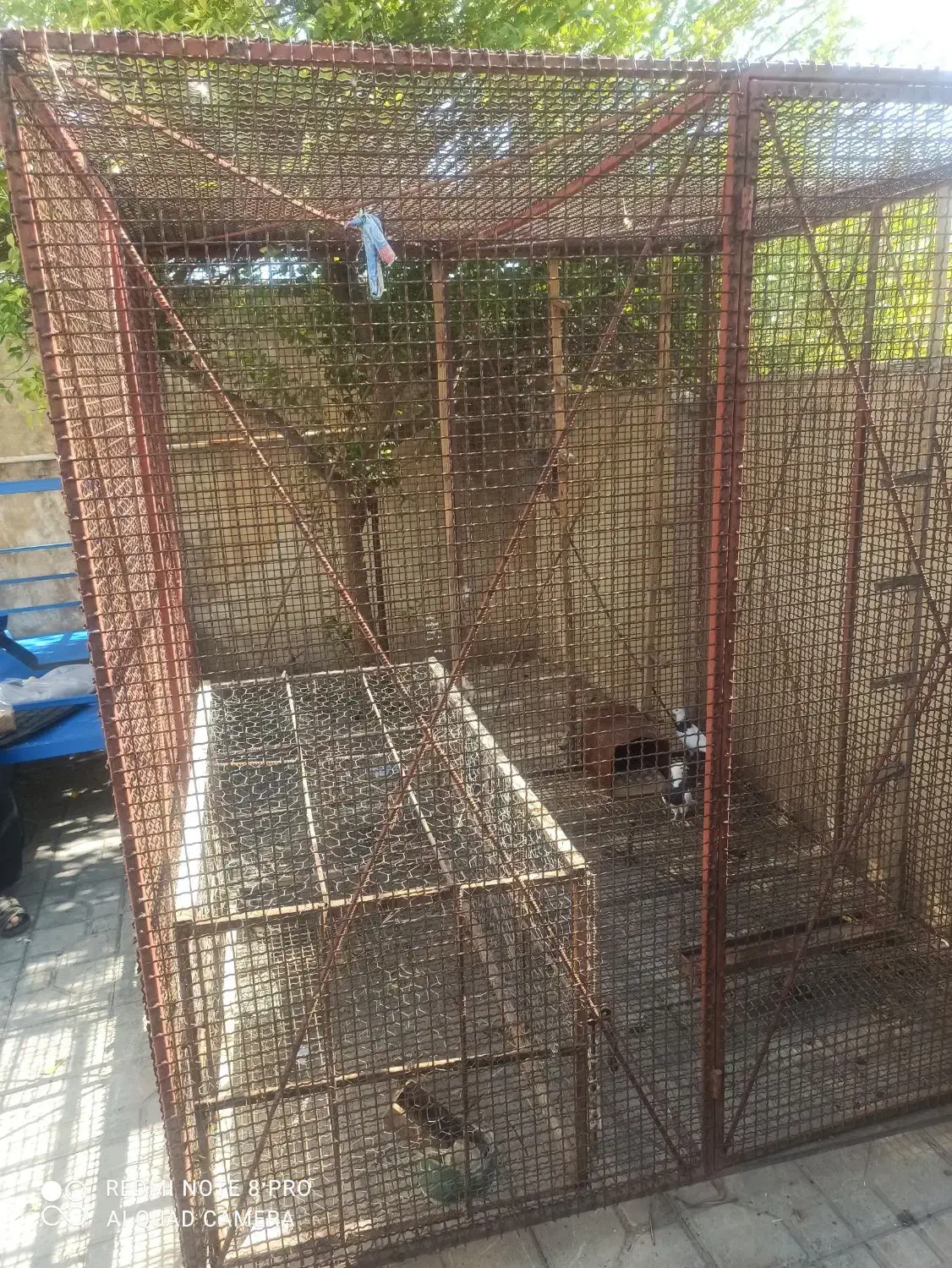 قفس گنجه 2در2|پرنده|شیراز, گلشن|دیوار