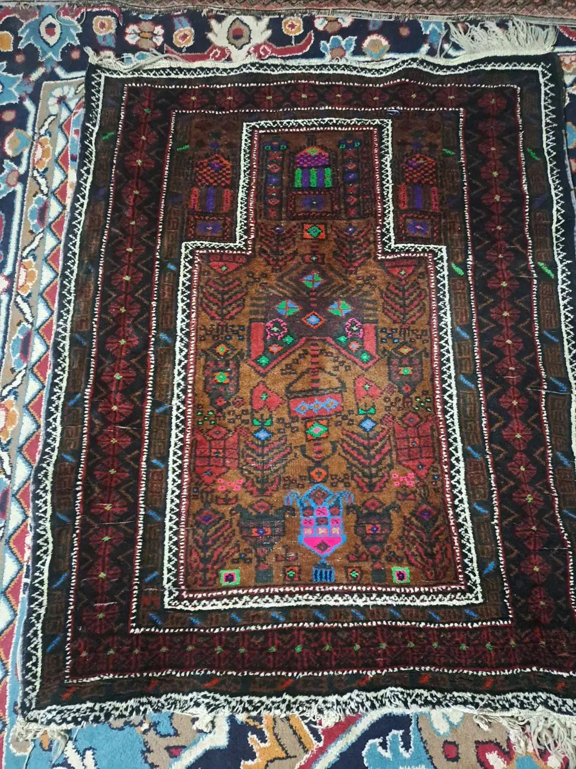 قالیچه دستبافت سیستانی|فرش|زابل, |دیوار