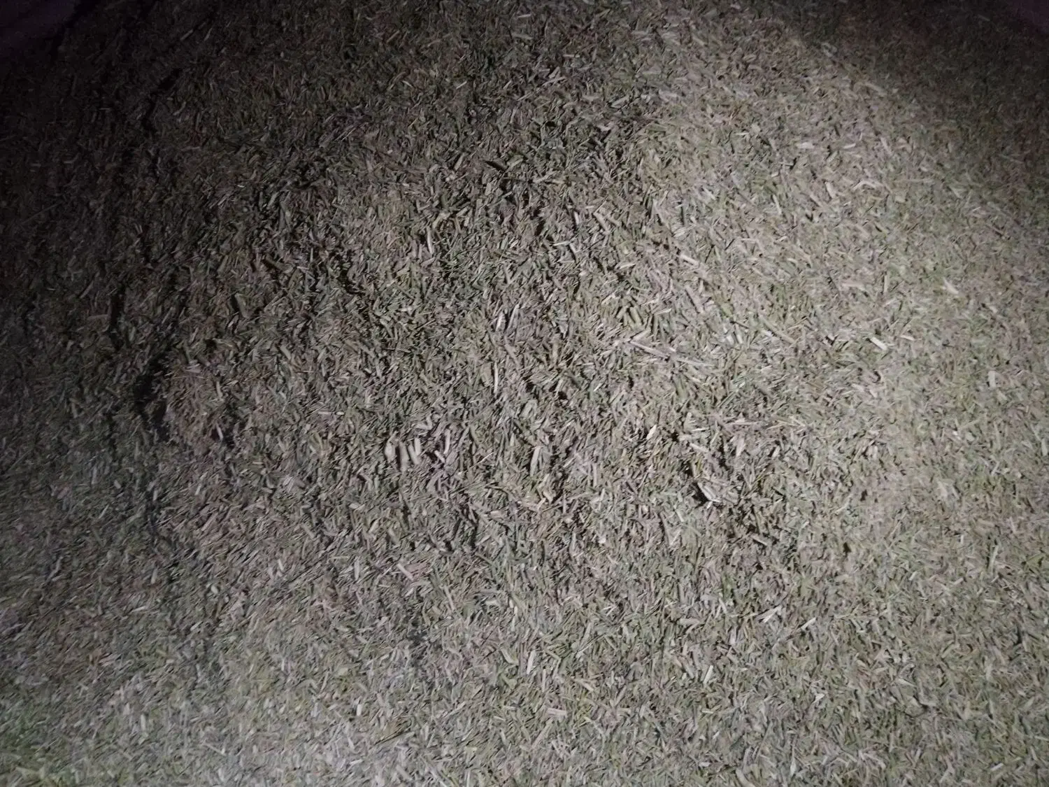 خار شتری|لوازم جانبی حیوانات|بردسکن, |دیوار