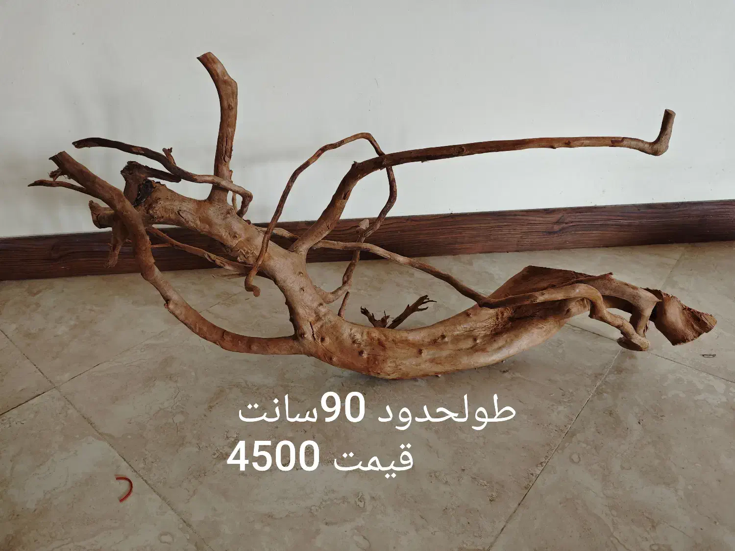 چوب آبنوس|ماهی|تهران, جنتآباد مرکزی|دیوار