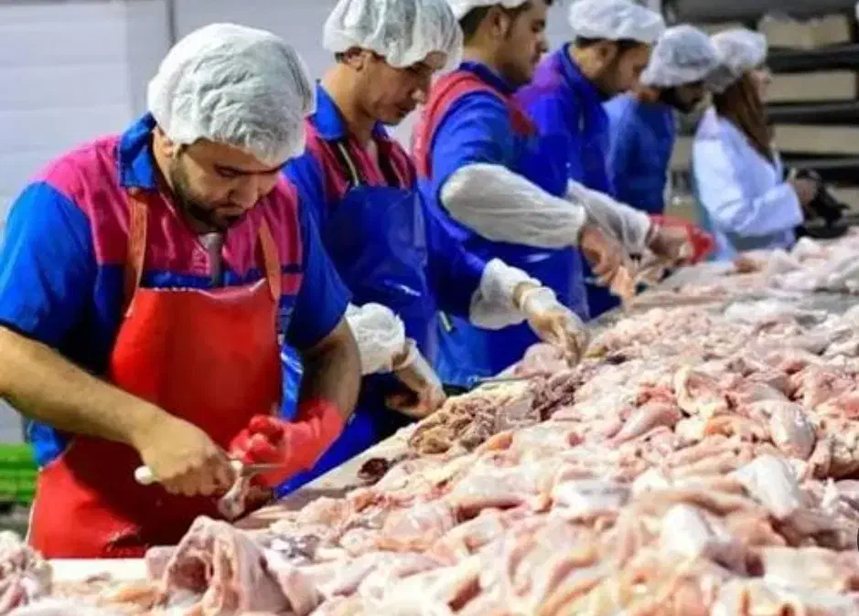 به چندکارگر ساده و وارد مرغ نیازمندیم|استخدام خدمات فروشگاه و رستوران|بومهن, |دیوار