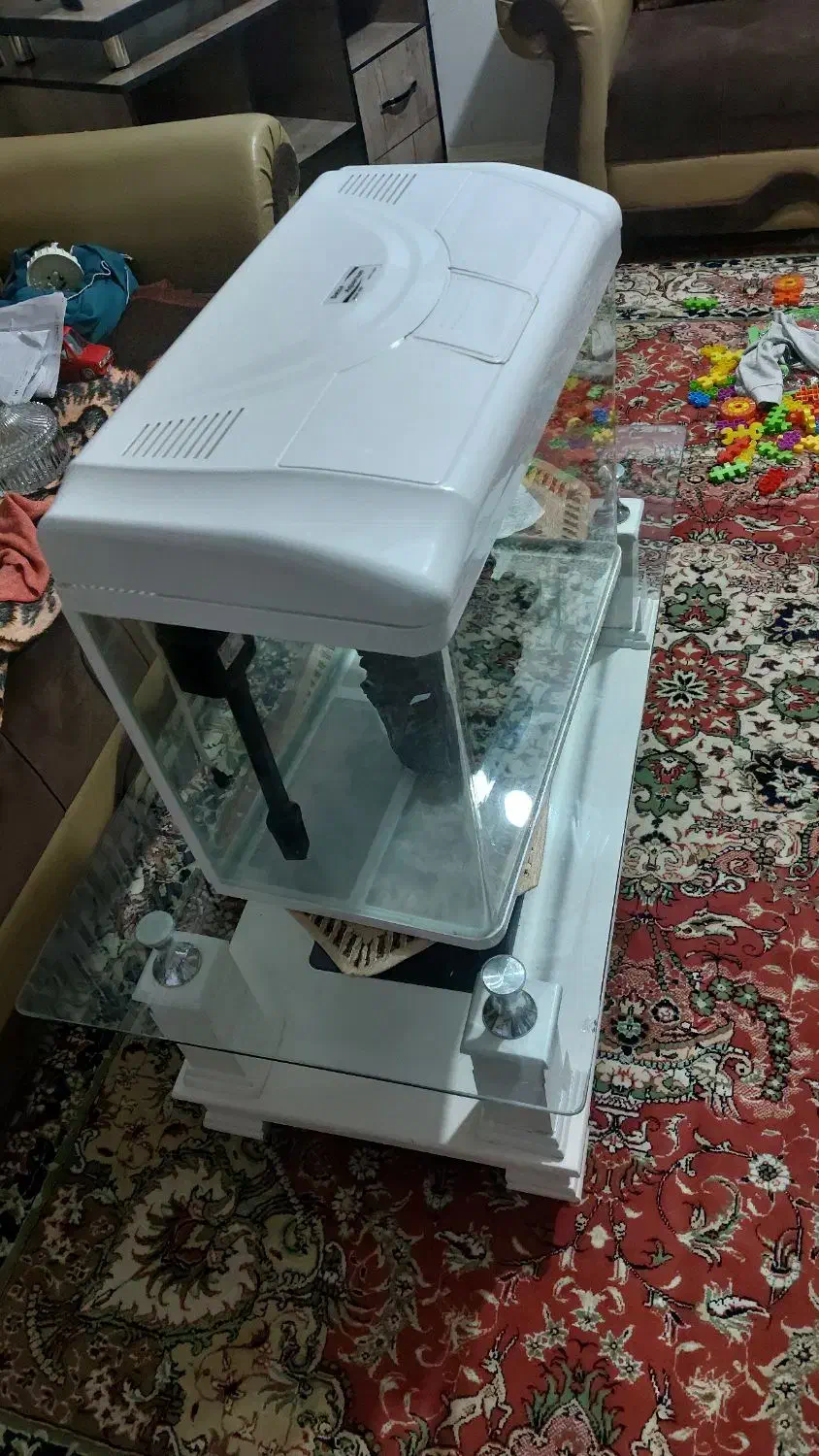 اکواریم|ماهی|ارومیه, |دیوار