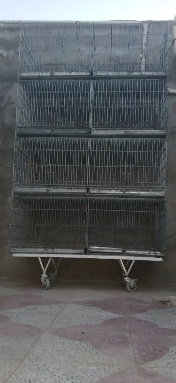 قفس|لوازم جانبی حیوانات|سیرجان, |دیوار