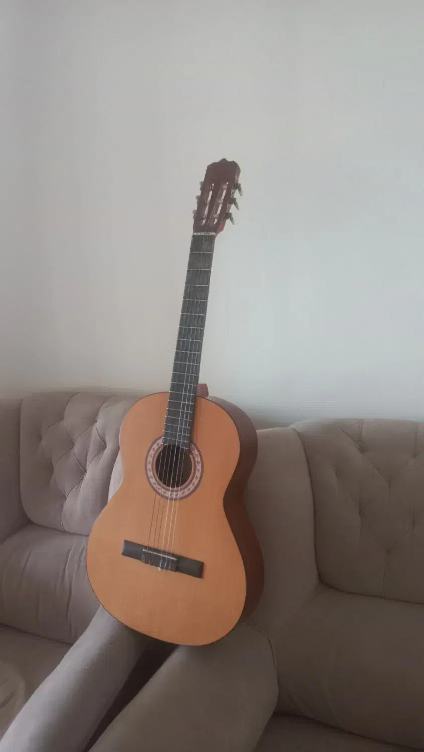 گیتار پارسی مدل m2|گیتار، بیس، امپلیفایر|محمدشهر, شهرک پیام (مهرالبرز)|دیوار