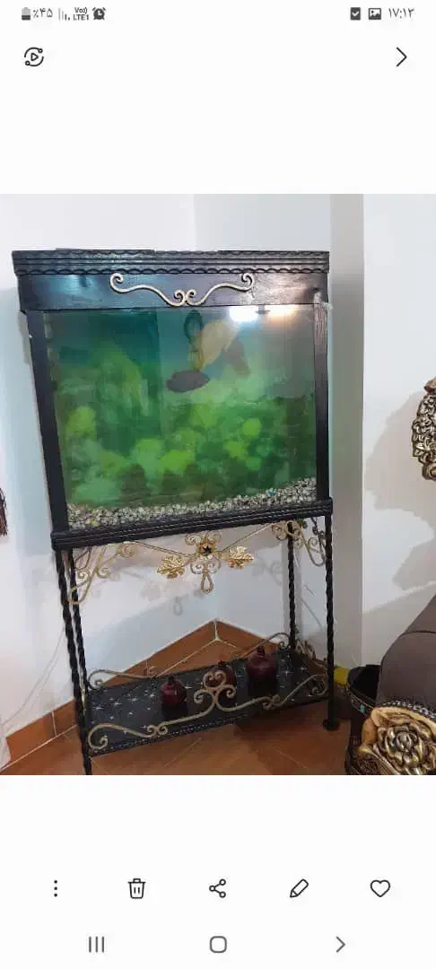 آکواریوم پایه دار|ماهی|املش, |دیوار