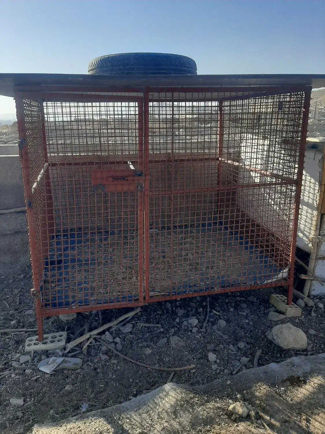 قفس مرغ|لوازم جانبی حیوانات|دوگنبدان, |دیوار