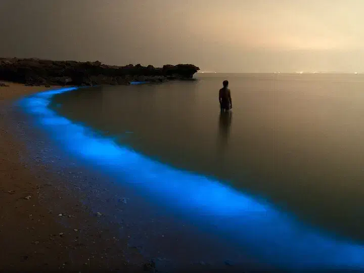 گشت یکروزه قشم با خودروی شخصی مدرن|تور و چارتر|قشم, |دیوار