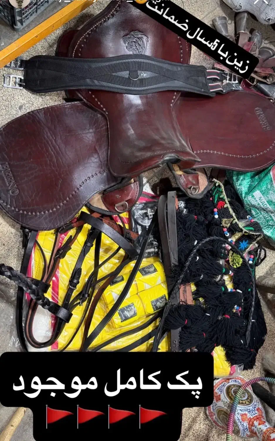 زین اسب|اسب و تجهیزات اسب‌سواری|قم, رضویه|دیوار