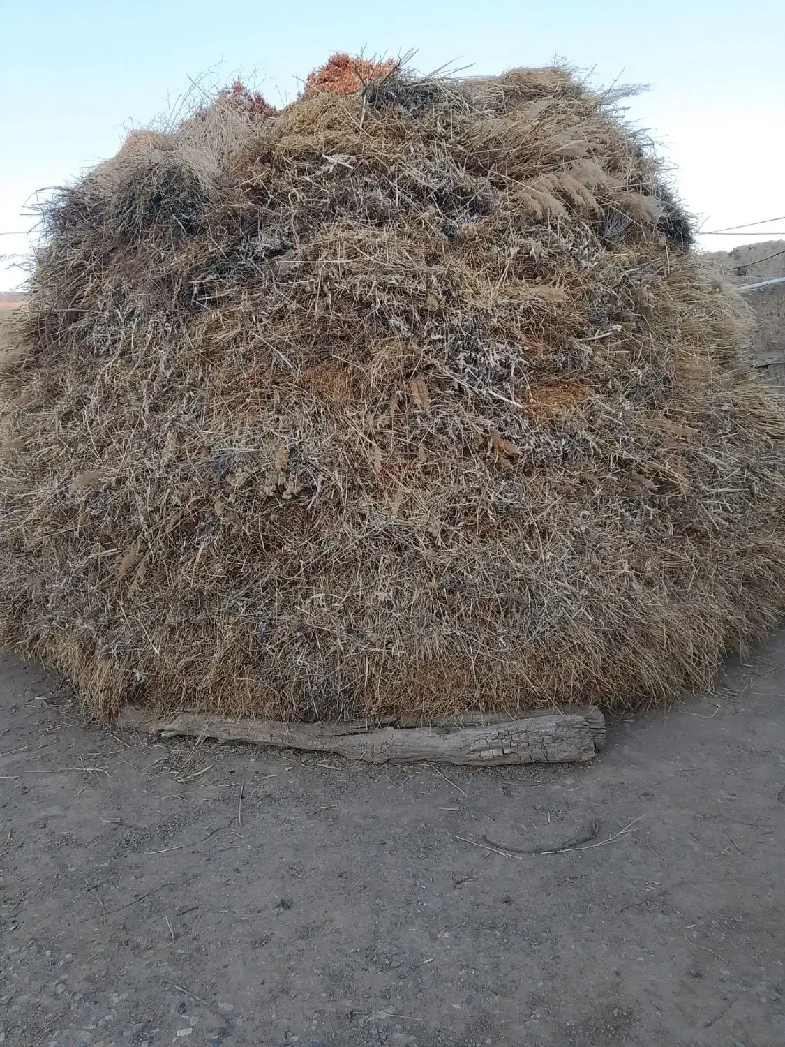 علف|لوازم جانبی حیوانات|صائین قلعه, |دیوار