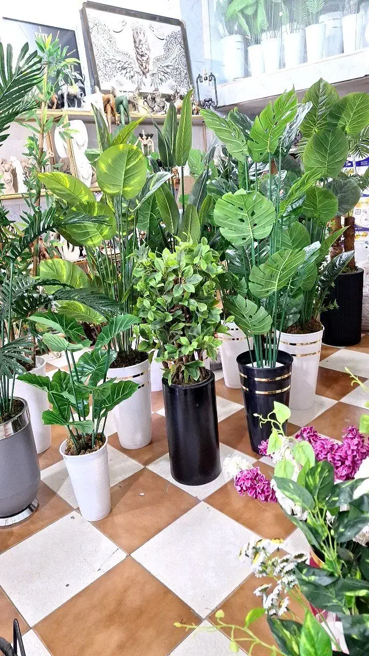 درختچه وگل نقدوقسطی|گل مصنوعی|کوهدشت, |دیوار