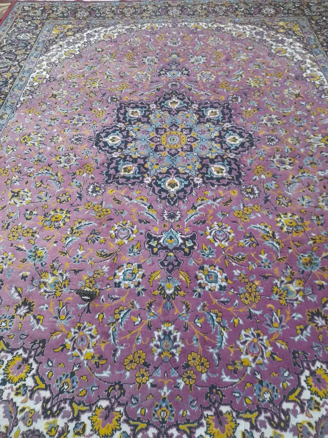 فرش ۱۲ متری زمینه لاکی|فرش|یزد, |دیوار