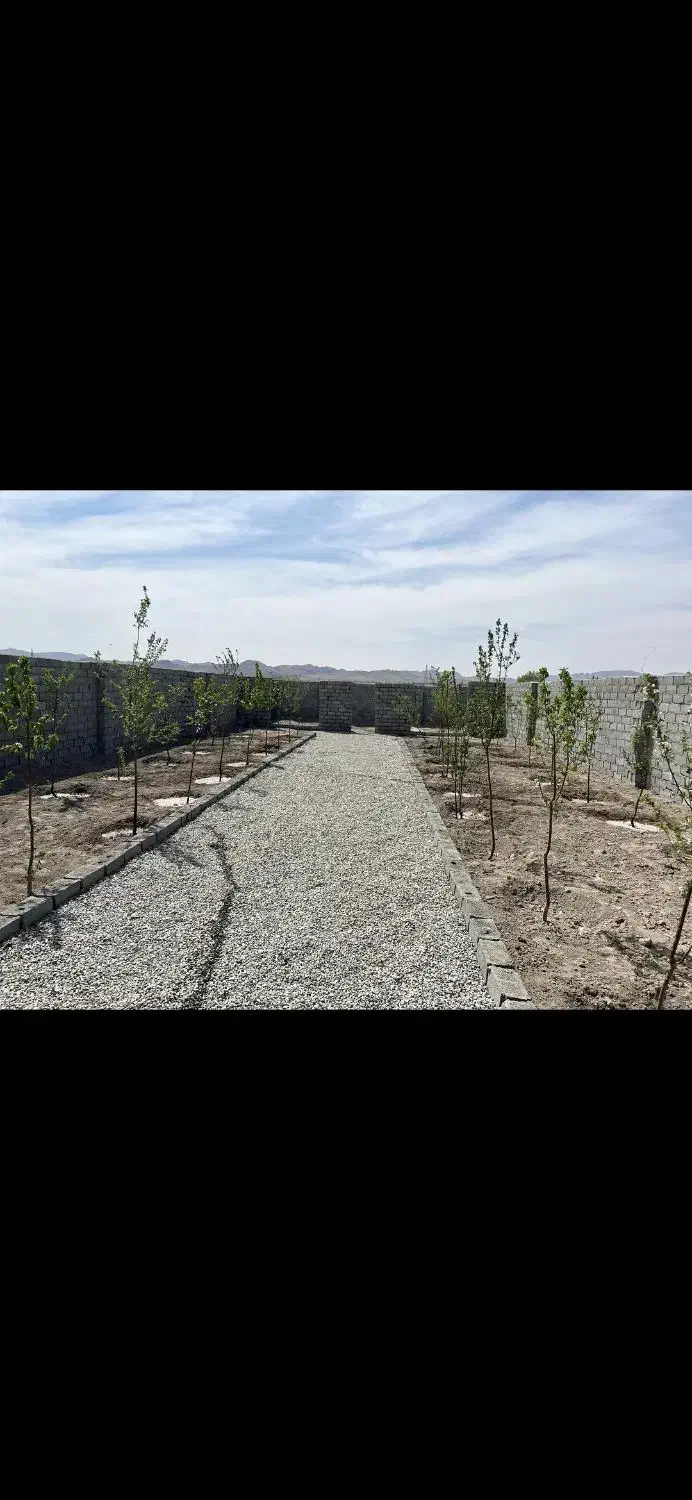 باغچه ۲۲۰ متری/ چهاردیواری/ با انشعابات جلوی ملک|فروش زمین و ملک کلنگی|اسلامشهر, شهرک احمدیه|دیوار