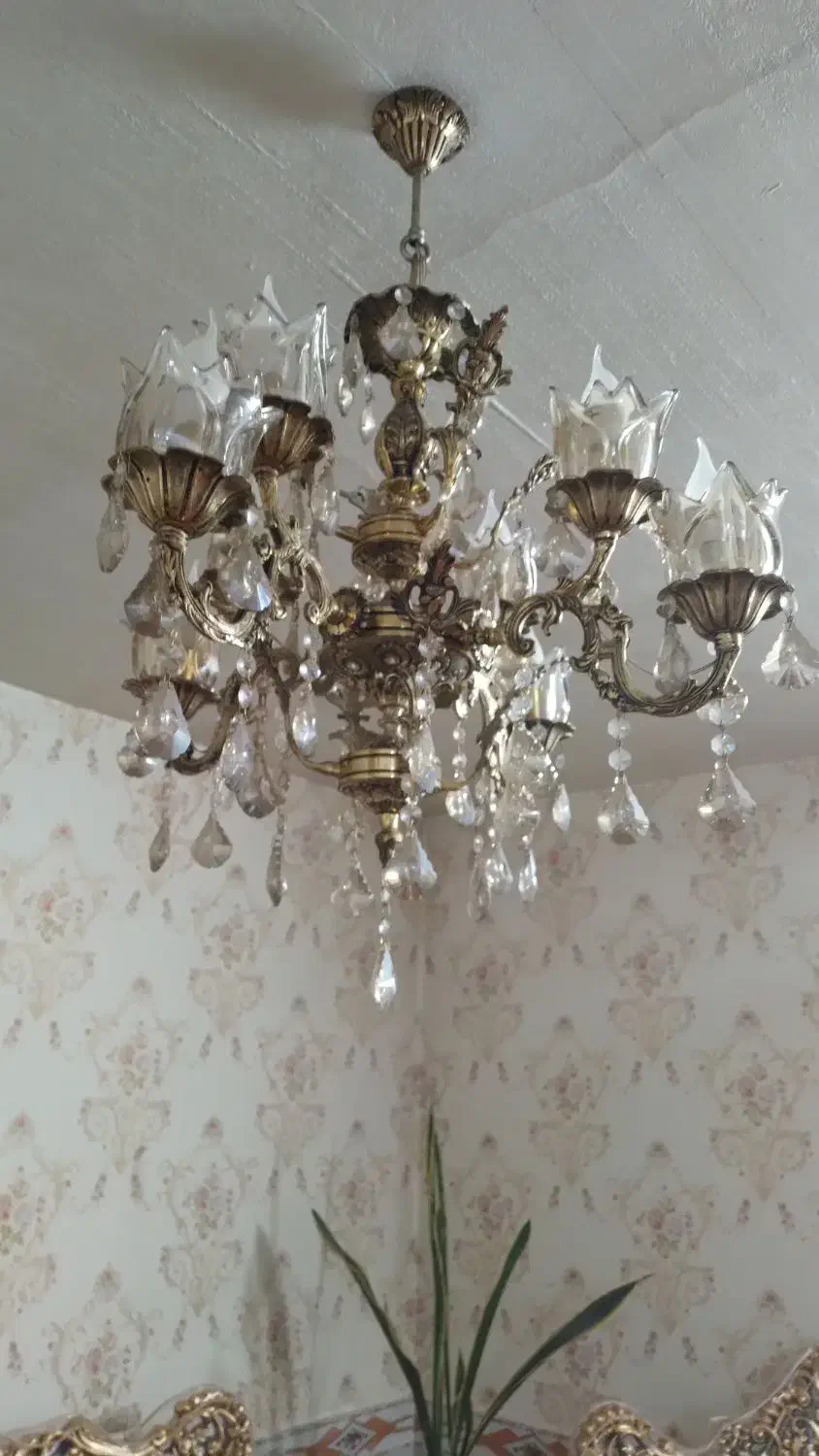 لوستربرنز|لوستر و چراغ آویز|بوئین زهرا, |دیوار