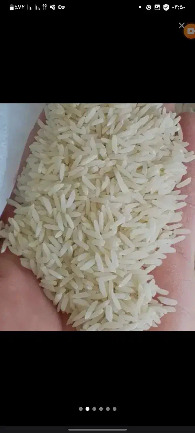 برنج هاشمی درج یک محصول امساله سفید خوش پخت|خوردنی و آشامیدنی|خشکبیجار, |دیوار