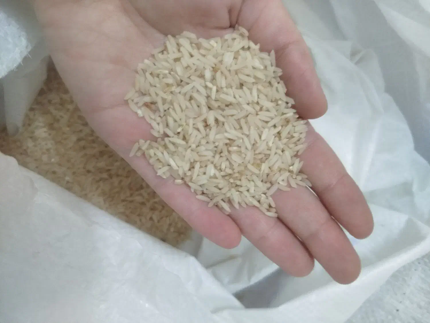 برنج اعلا کلات نادر|خوردنی و آشامیدنی|مشهد, سپاد|دیوار