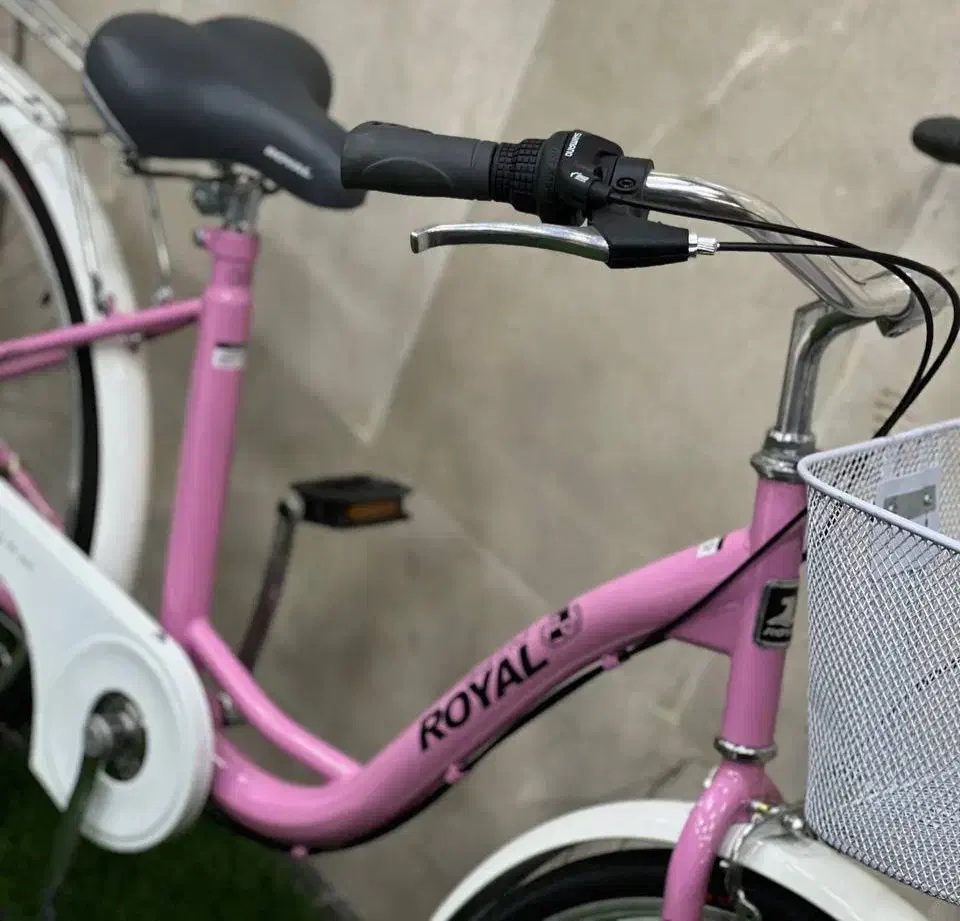 دوچرخه شهری بانوان ( رویال )|دوچرخه، اسکیت، اسکوتر|فردوسیه, |دیوار