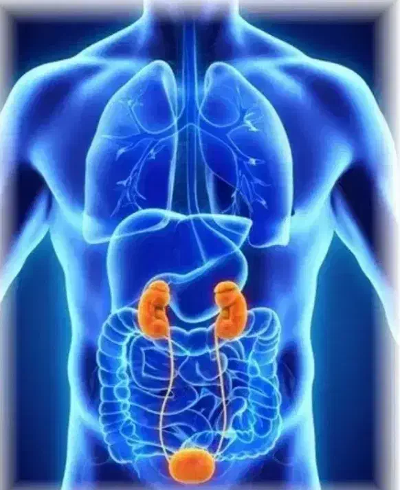 اهدا زندگی|فعالیت داوطلبانه|تهران, شهرآرا|دیوار