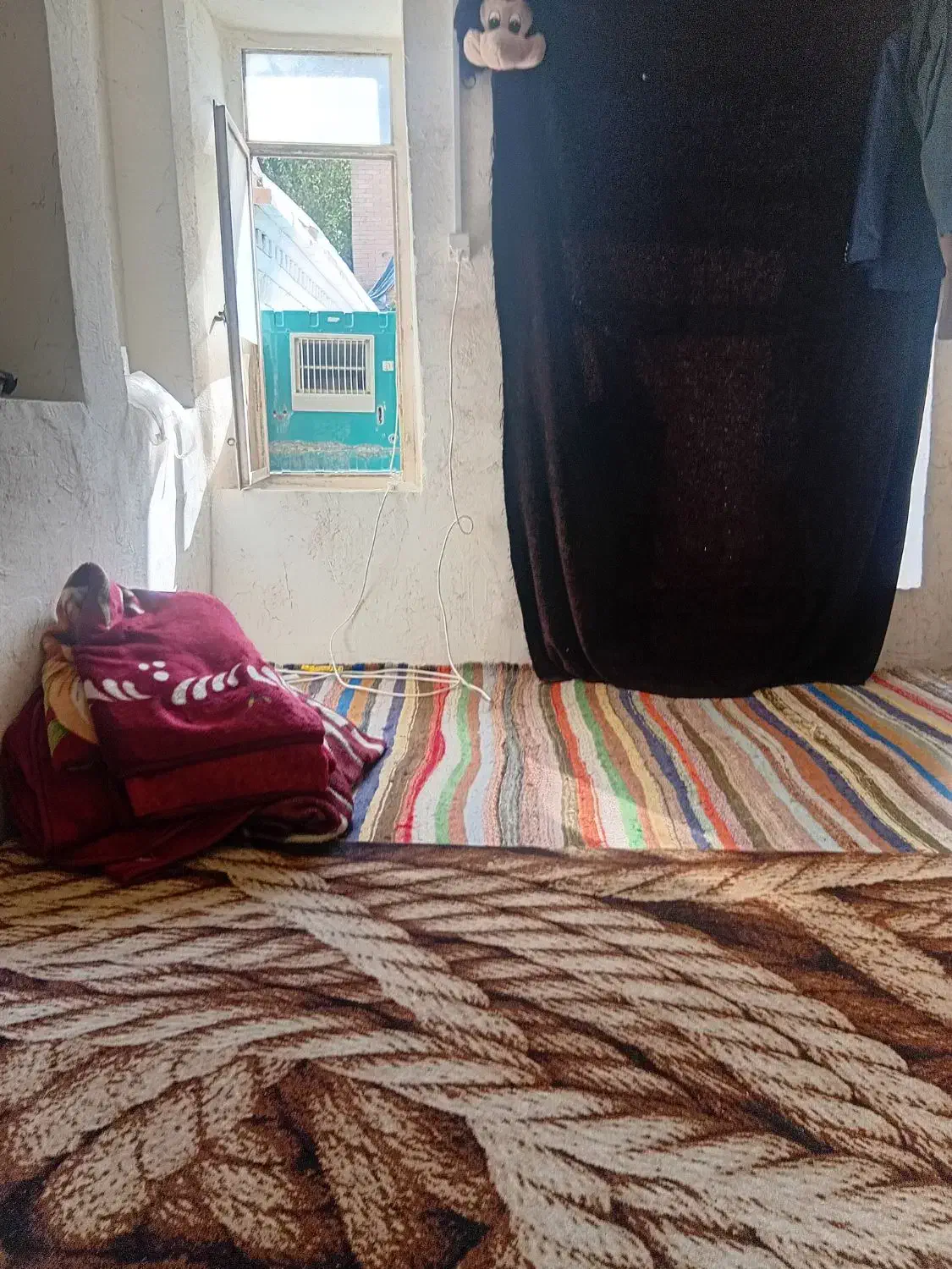 هم خونه|اجارهٔ آپارتمان|شیراز, لب آب|دیوار