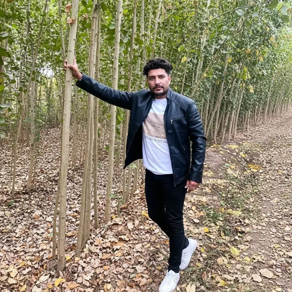 صنوبر کلید ورود به باشگاه سرمایهگذاران میلیاردی|خدمات باغبانی و درختکاری|قم, قلعه عموحسین|دیوار