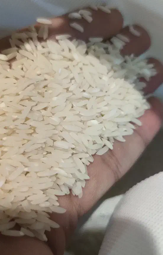 برنج هاشمی معطر|خوردنی و آشامیدنی|تهران, آرژانتین|دیوار