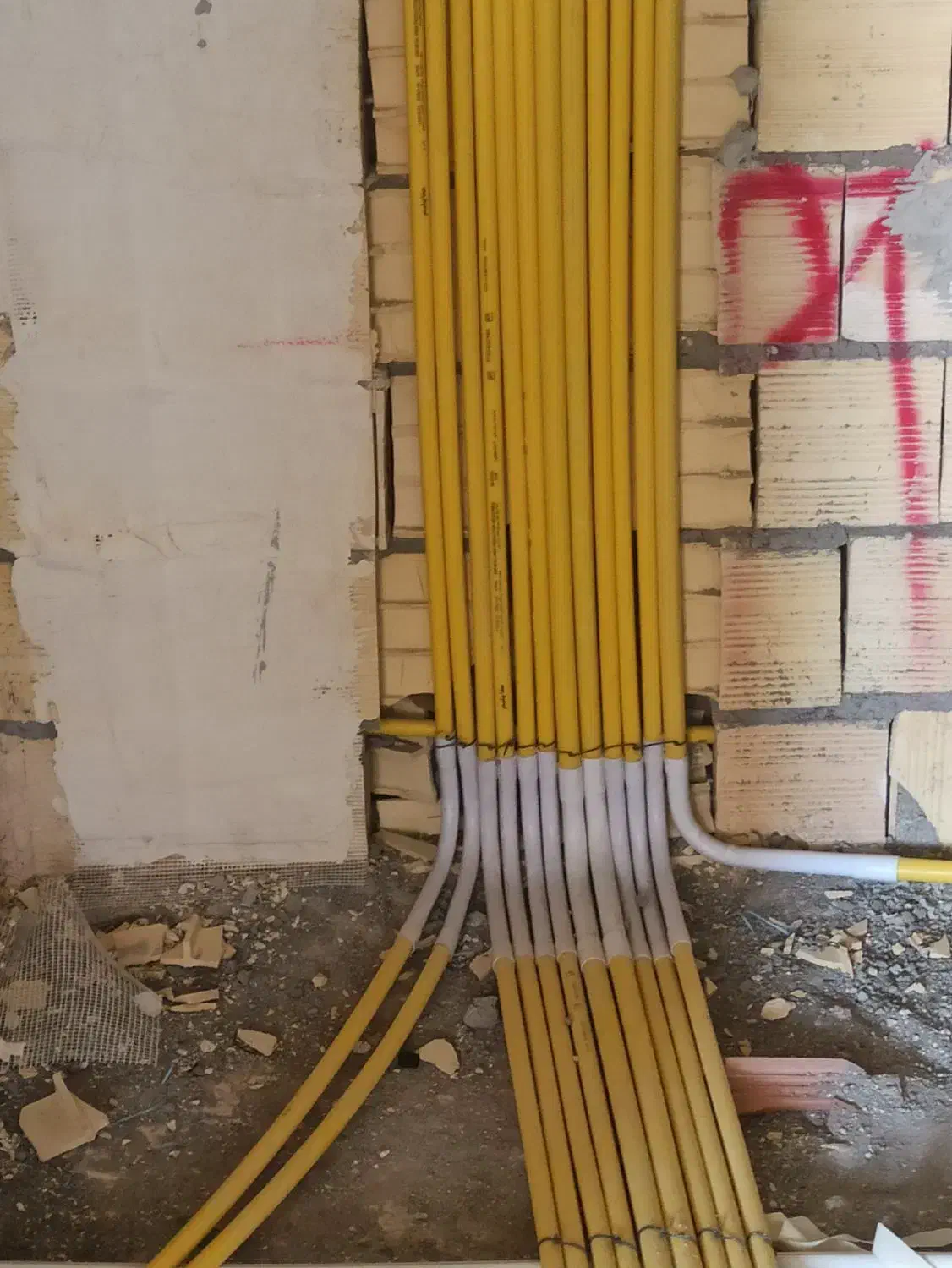 نیروی ساده و کار کرده|استخدام صنعتی، فنی، مهندسی|قم, پردیسان|دیوار