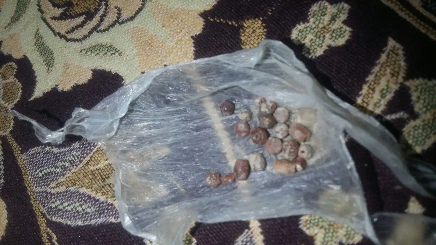 مهر کبری|کلکسیون اشیاء عتیقه|میناب, |دیوار