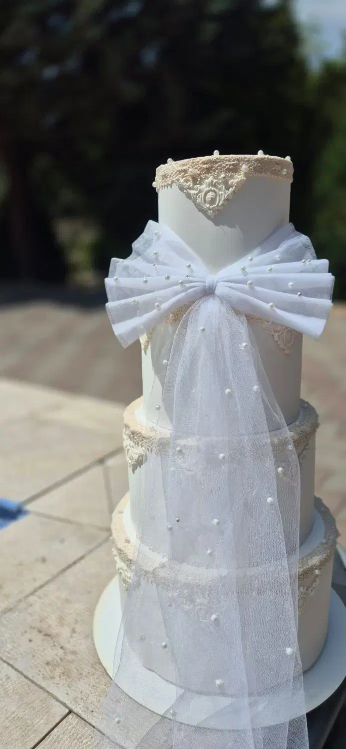 ماکت کیک زیبا|مجسمه، تندیس، ماکت|تبریز, |دیوار