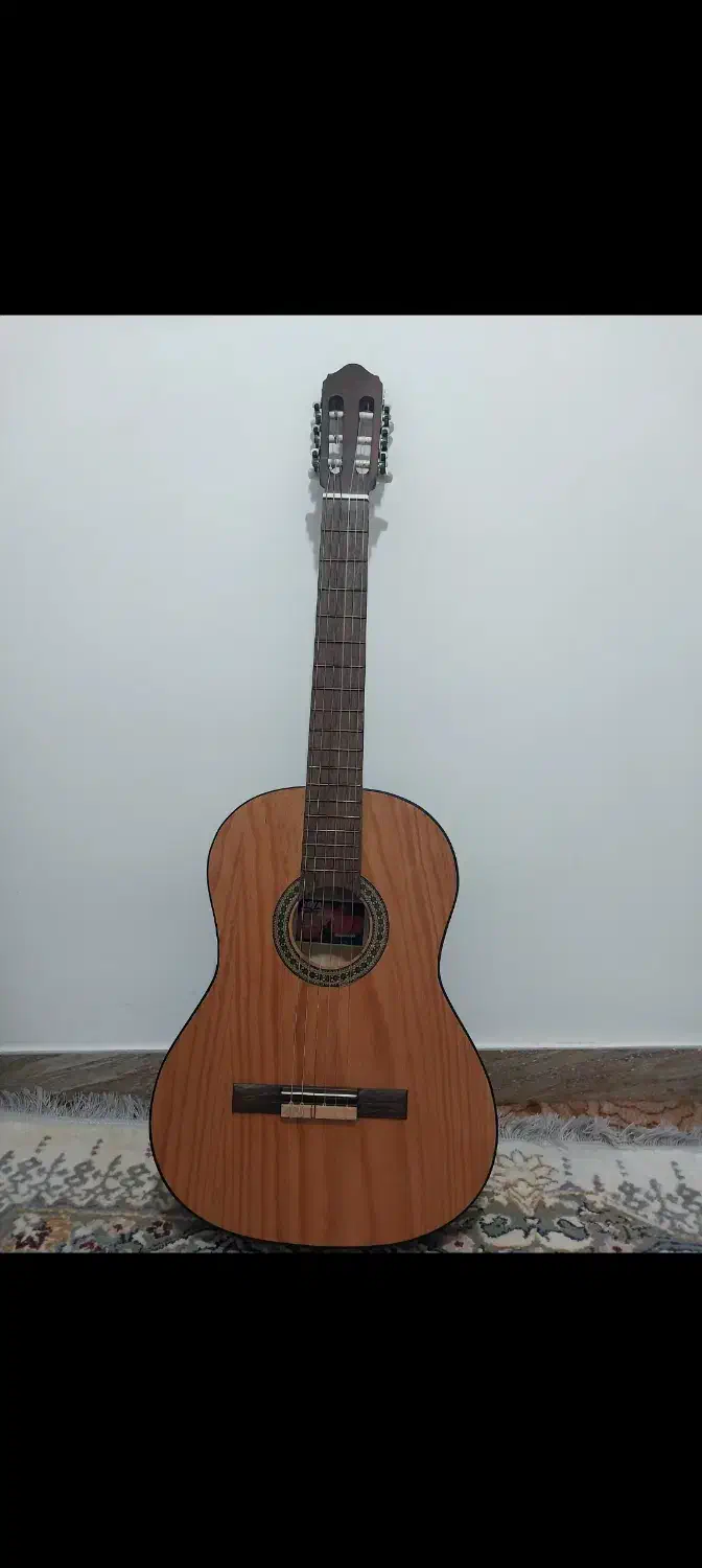 گیتار نو|گیتار، بیس، امپلیفایر|املش, |دیوار