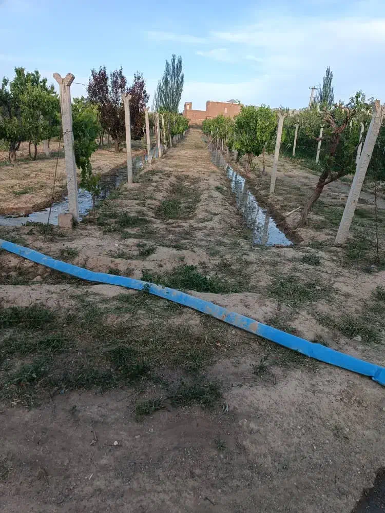 فروش باغ ۵۰۰۰متری انگور ،پسته|فروش زمین و ملک کلنگی|نوشین شهر, |دیوار