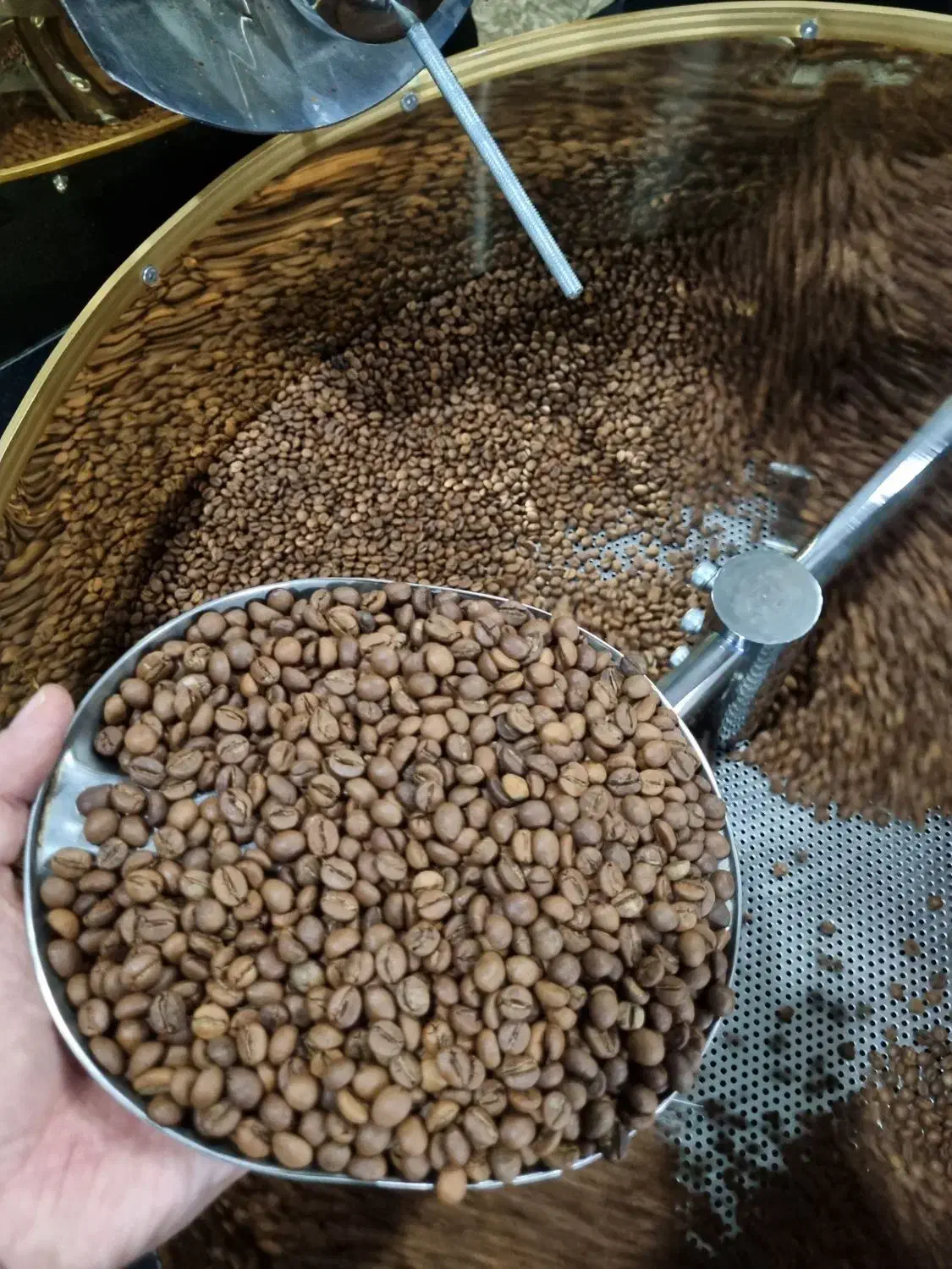 دون،قهوه اسپرسو،،دانه،سوپر کرما|خوردنی و آشامیدنی|تهران, تهرانسر شمالی|دیوار