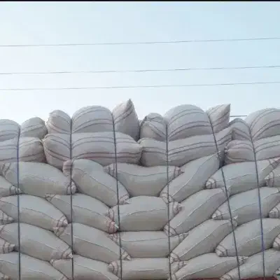 کاه گندم کوهدشت|حیوانات مزرعه|کوهدشت, |دیوار